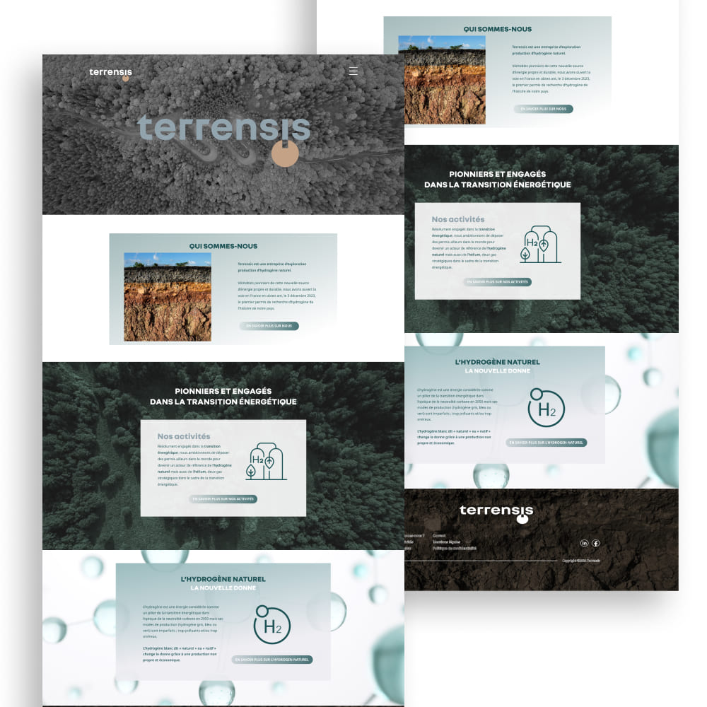 Terrensis